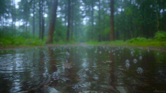 بارش های پراکنده مهمان روزهای آینده در مازندران
