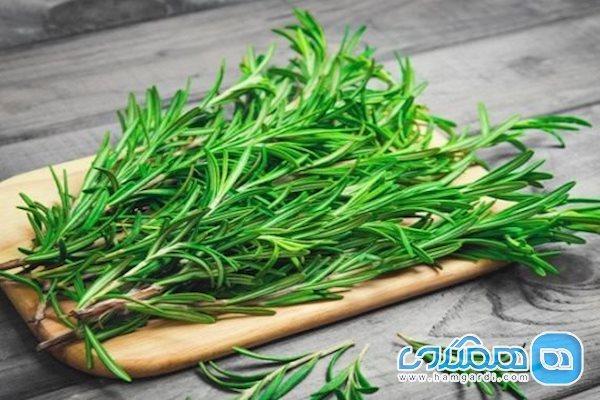 رفع پینه و بوی بد پا با رزماری