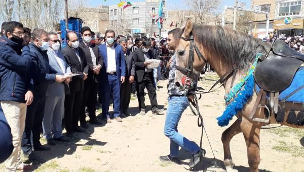 خبرنگاران ساوجبلاغ به قطب پرورش صنعت اسب در البرز تبدیل شده است