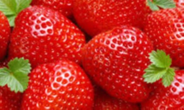 چند نکتۀ مهم دربارۀ توت فرنگی چند نکتۀ مهم دربارۀ توت فرنگی