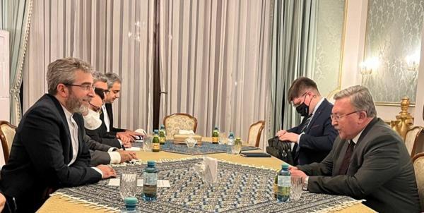 رویترز: علی باقری فردا به وین باز می گردد رویترز: علی باقری فردا به وین باز می شود