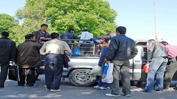 طرح ساماندهی کارگران فصلی در قزوین اجرایی می گردد