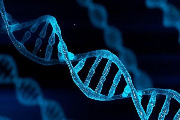 شروع به کار دیتاسنترهای حاوی DNA تا 10 سال آینده